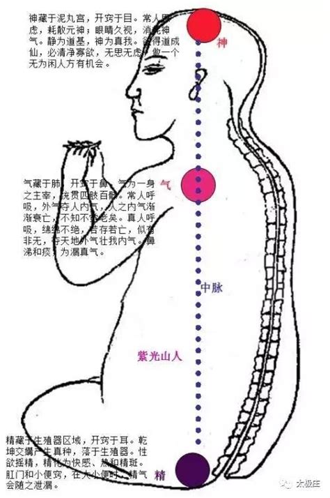 玄關穴|玄關正論（修真圖詳解）